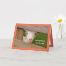 Search for baby goat birthday cards Funny
