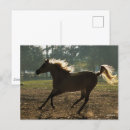 Search for backlit postcards Arab