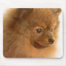 Search for low section mousepads Vertical