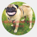 Search for funny teeth stickers Smile