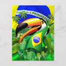 Search for brazil toucan postcards Animal