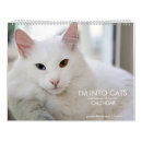 Search for furry calendars Kittens