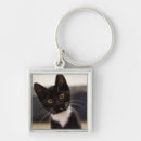 Search for focus on foreground key rings Colour image