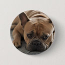 Search for dog badges Pet