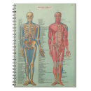 Search for human anatomy notebooks Skeleton