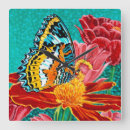 Search for neon clocks Butterflies