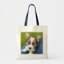 Search for corgi bags Pet