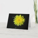 Search for dandy cards Dandelion