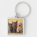 Search for puppy premium square key rings Kitten