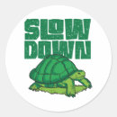 Search for slow turtle stickers Ocean