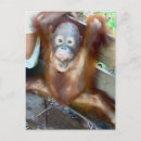 Search for potty postcards Babies