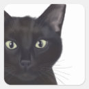 Search for cat portrait stickers Cute cats