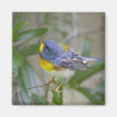 Search for habitat magnets Texas