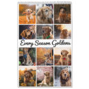 Search for golden retriever calendars Puppy