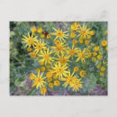 Search for english countryside postcards Floral
