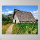 Search for tobacco art Field