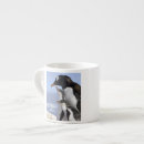 Search for south pole mugs Ice