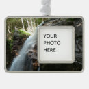 Search for new hampshire christmas tree decorations Nature
