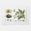 Search for avocado tea towels Vintage