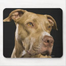 Search for pitbull mousepads Animal