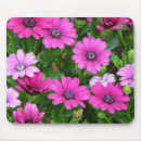 Search for geraniums mousepads Nature