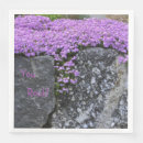 Search for phlox Purple