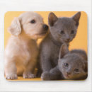 Search for russian mousepads Kitten