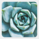 Search for seafoam stickers Green