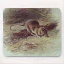 Search for pest mousepads Mammal