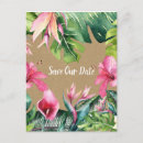 Search for aloha postcards Leaves