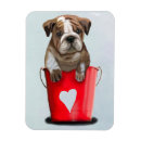 Search for bucket magnets Steampunk