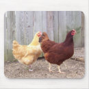 Search for chicken mousepads Rooster