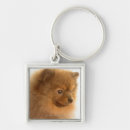 Search for loneliness key rings Domestic animals