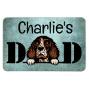 Search for spaniels magnets Dad