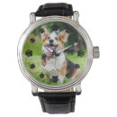 Search for feline watches Simple