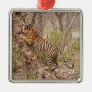 Search for bengal cat christmas tree decorations Wildlife