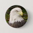 Search for bald headed eagle accessories Birds