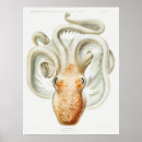 Search for vintage octopus posters Retro