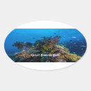Search for great barrier reef stickers Coral
