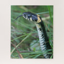 Search for curling puzzles Curled