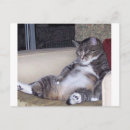 Search for fatigue postcards Funny