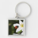Search for ladybird key rings Nature