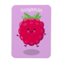 Search for raspberry magnets Fruit