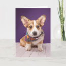 Search for animals halloween cards Cute
