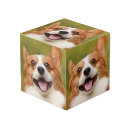 Search for pet photo cubes Dog