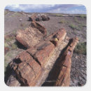 Search for national landmark stickers Arizona