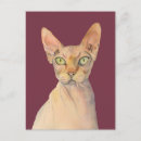 Search for sphynx cat postcards Hairless cats