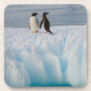 Search for antarctic barware Polar
