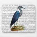 Search for blue heron electronics Animals