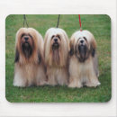 Search for apso mousepads Dog